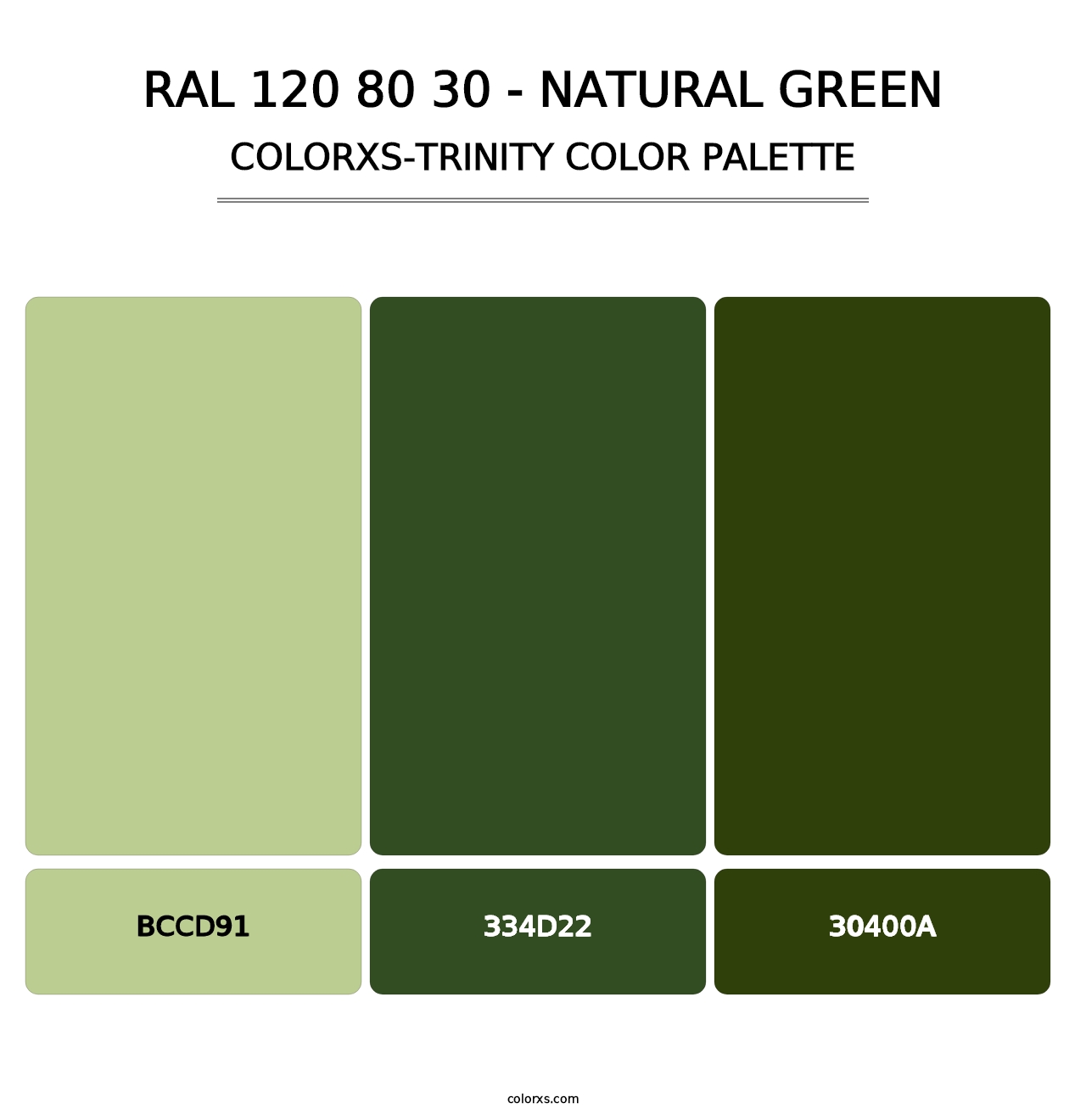 RAL 120 80 30 - Natural Green - Colorxs Trinity Palette