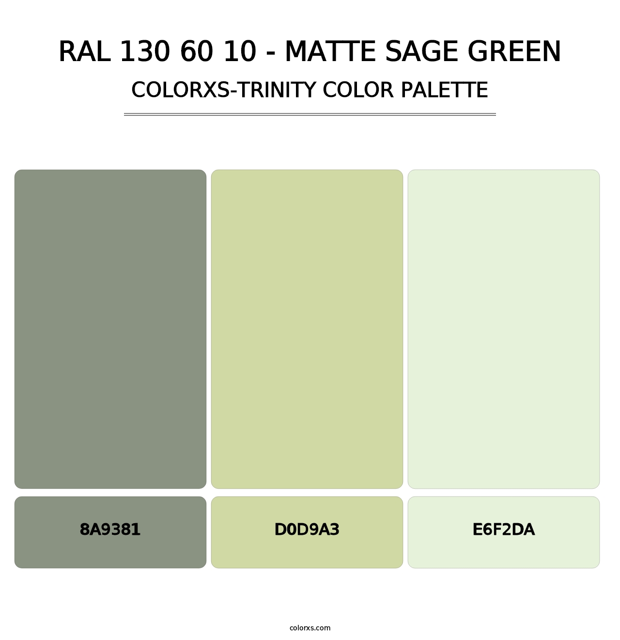 RAL 130 60 10 - Matte Sage Green - Colorxs Trinity Palette