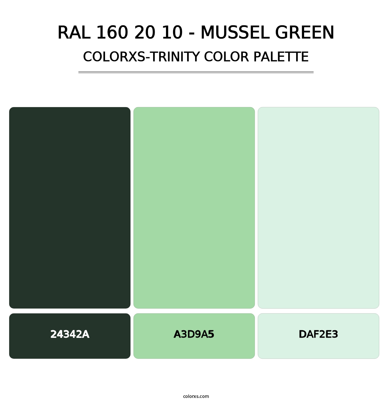 RAL 160 20 10 - Mussel Green - Colorxs Trinity Palette