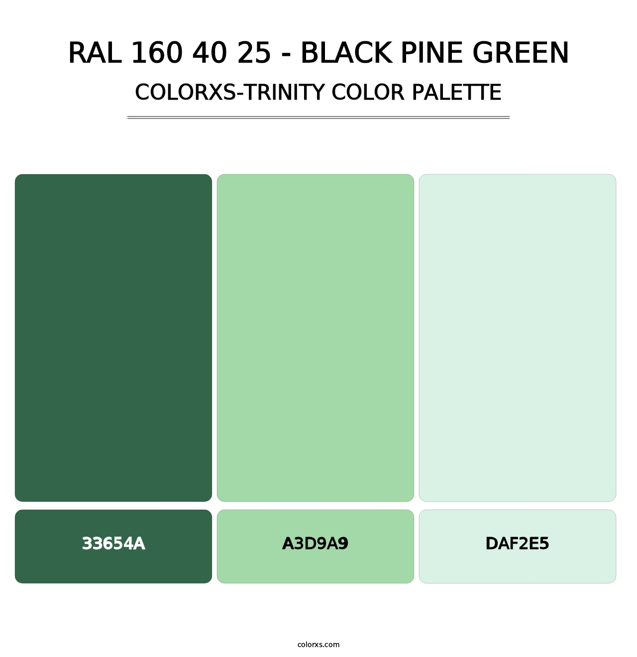 RAL 160 40 25 - Black Pine Green - Colorxs Trinity Palette