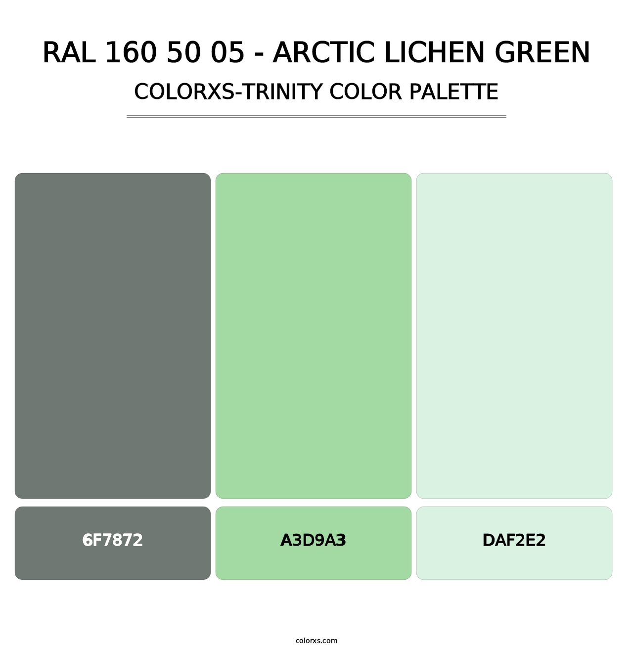 RAL 160 50 05 - Arctic Lichen Green - Colorxs Trinity Palette