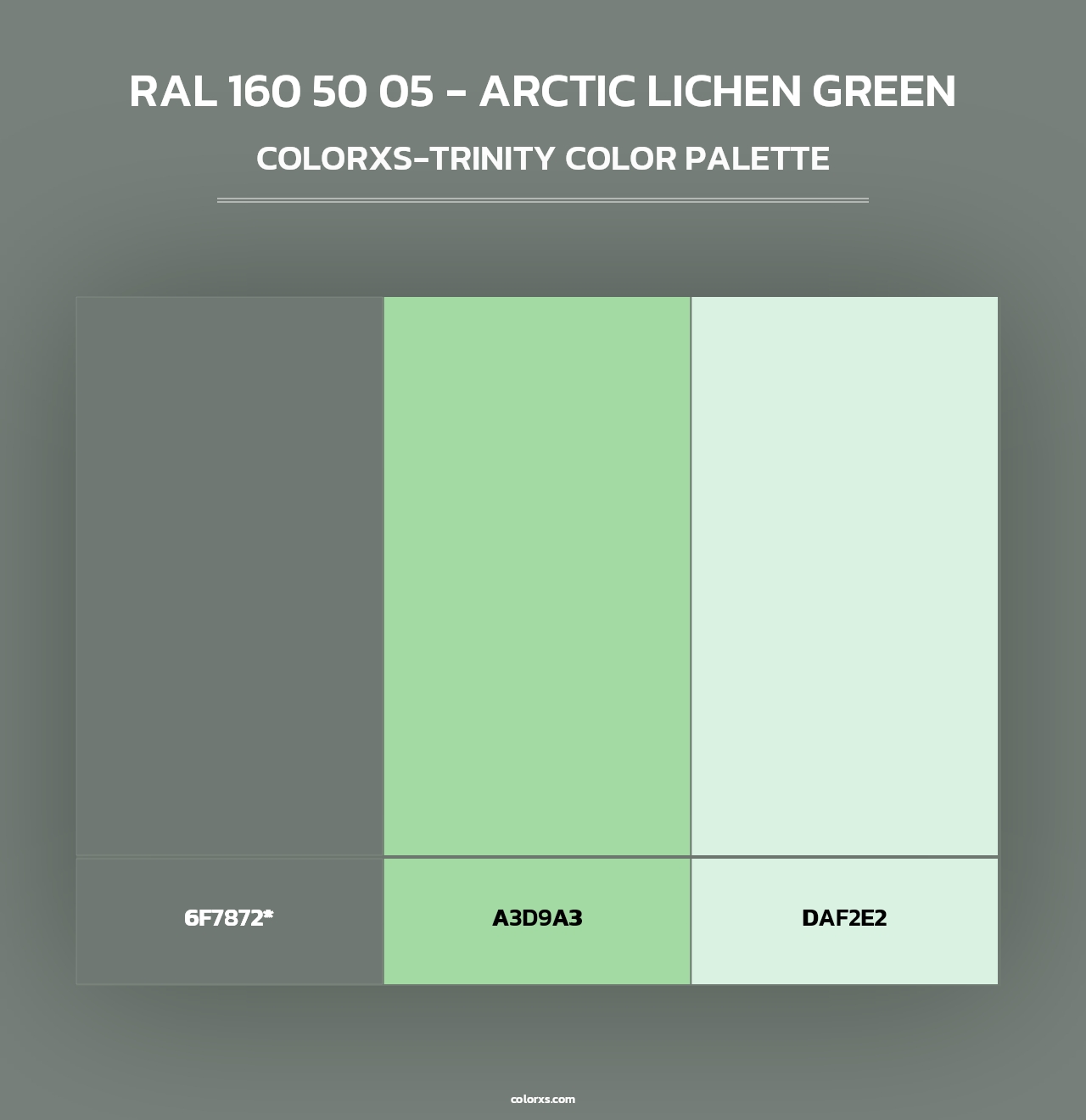 RAL 160 50 05 - Arctic Lichen Green - Colorxs Trinity Palette