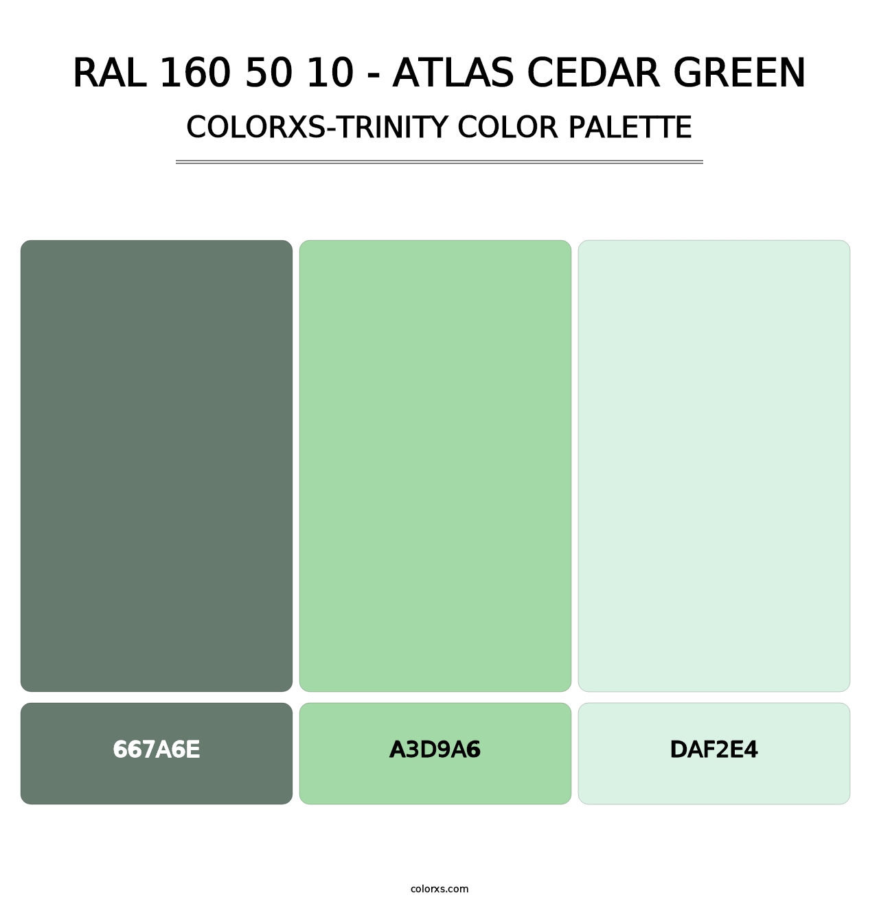 RAL 160 50 10 - Atlas Cedar Green - Colorxs Trinity Palette