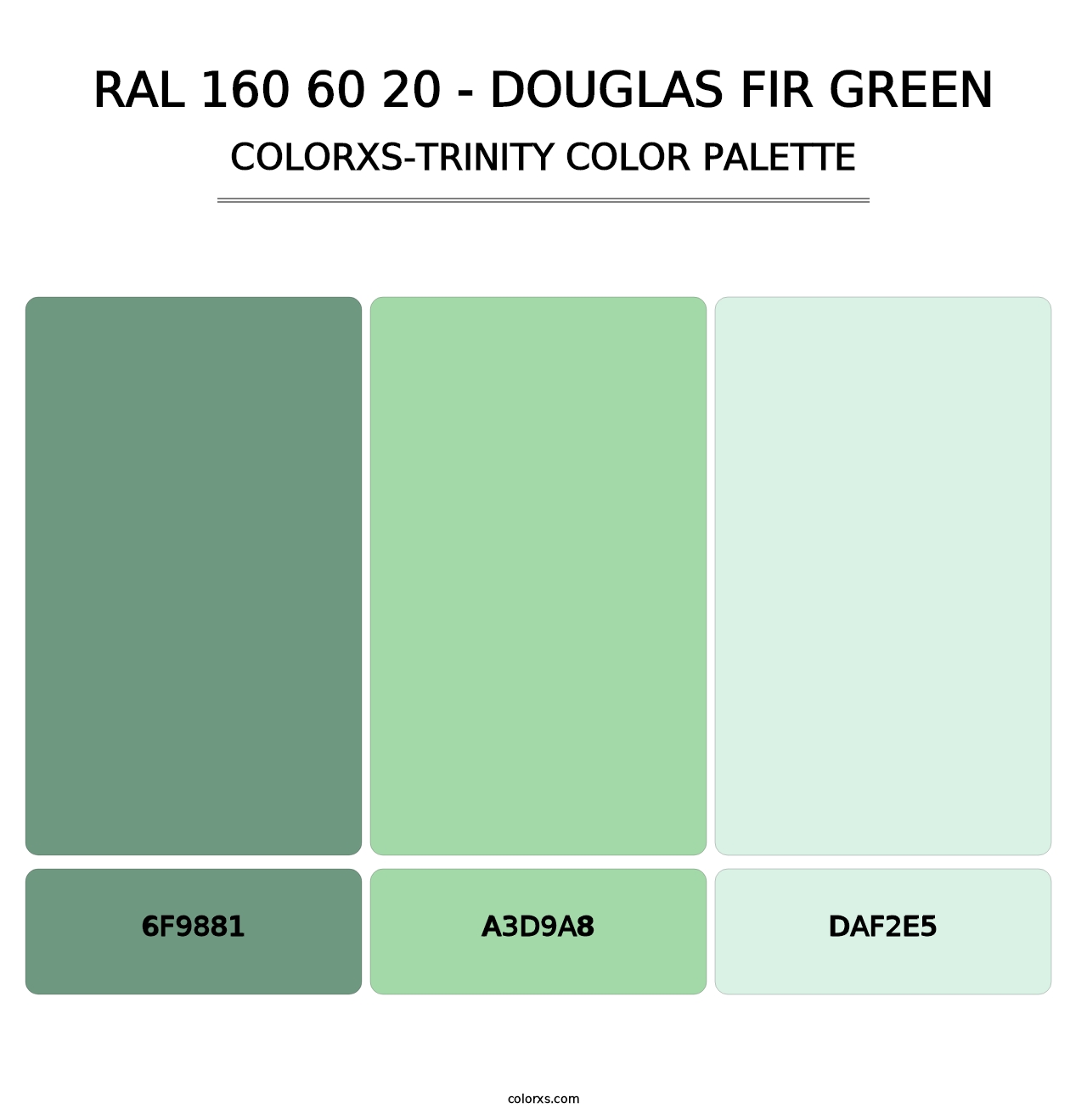 RAL 160 60 20 - Douglas Fir Green - Colorxs Trinity Palette