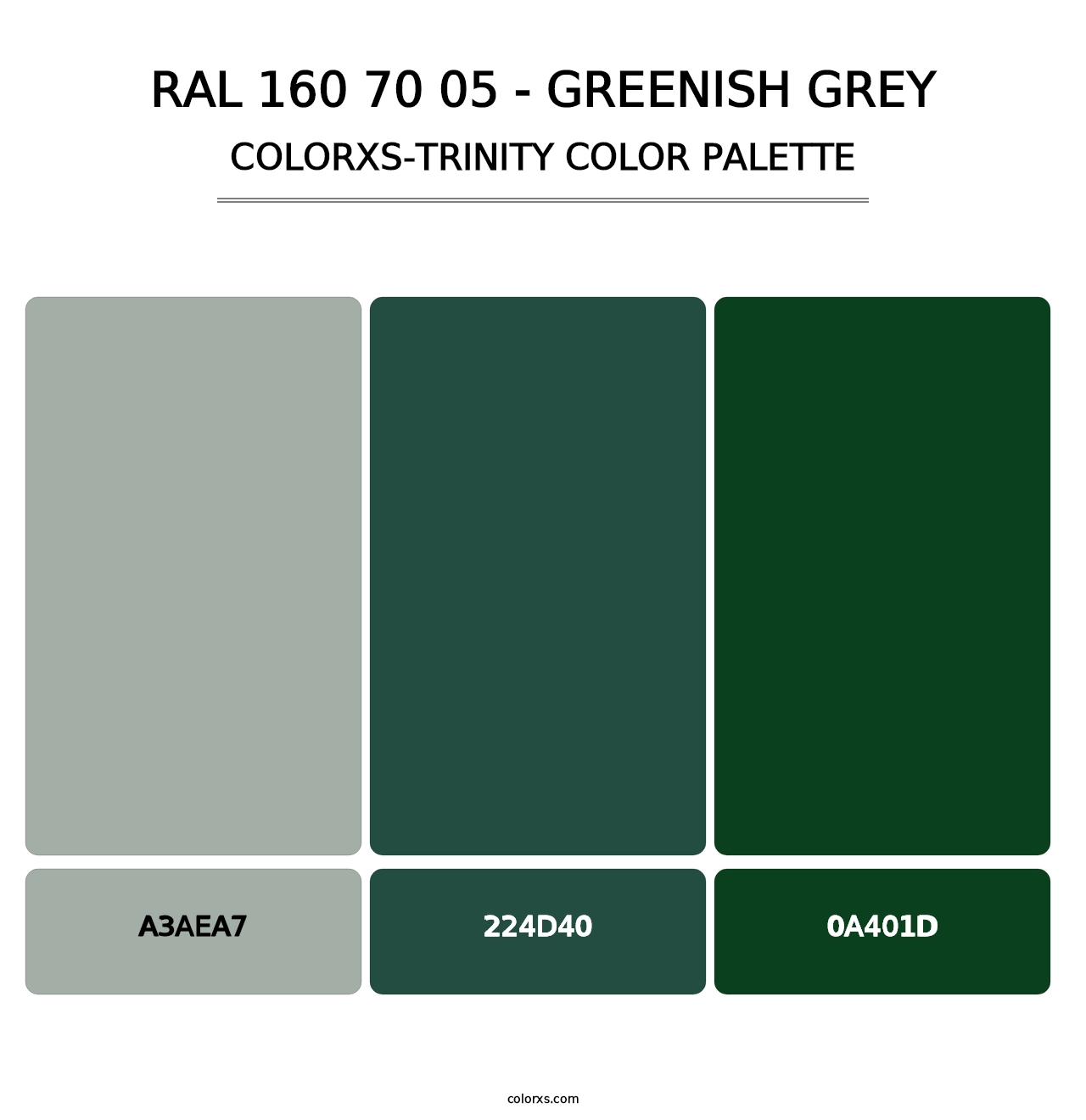 RAL 160 70 05 - Greenish Grey - Colorxs Trinity Palette