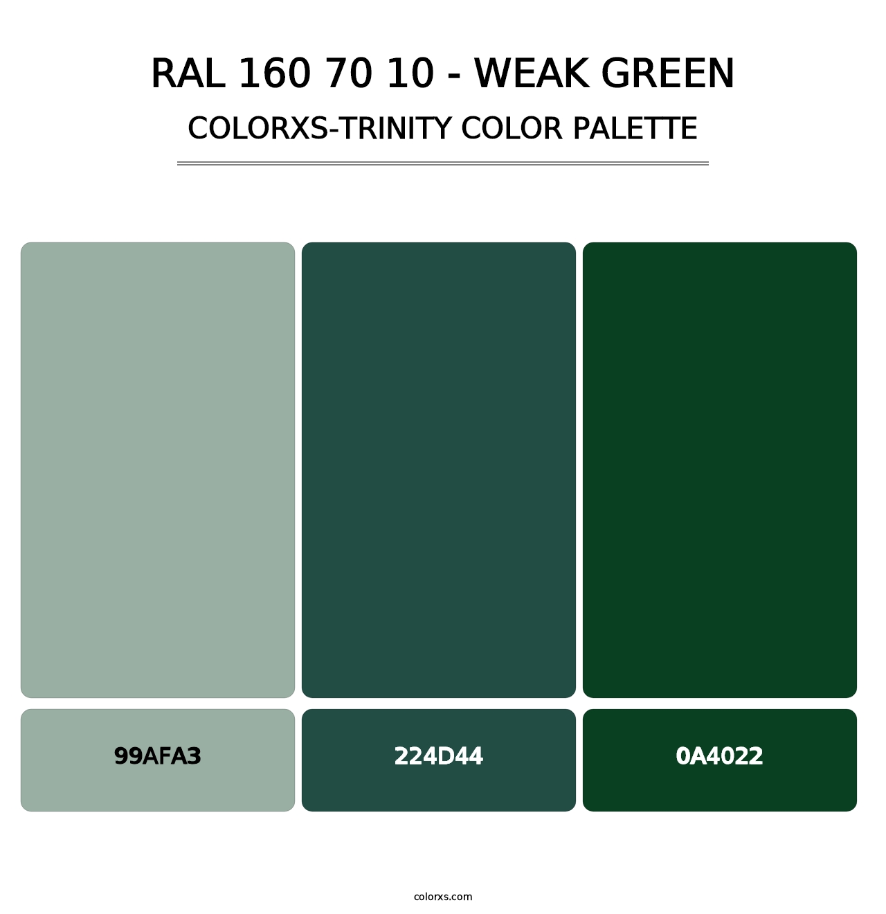 RAL 160 70 10 - Weak Green - Colorxs Trinity Palette