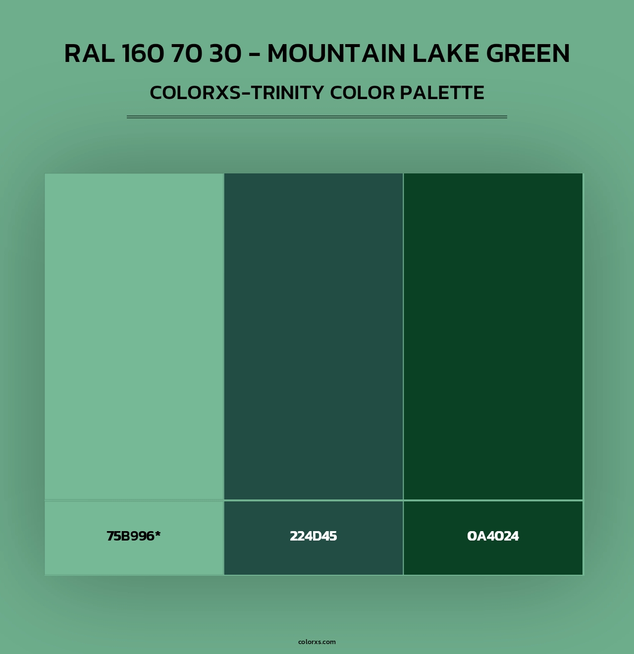RAL 160 70 30 - Mountain Lake Green - Colorxs Trinity Palette