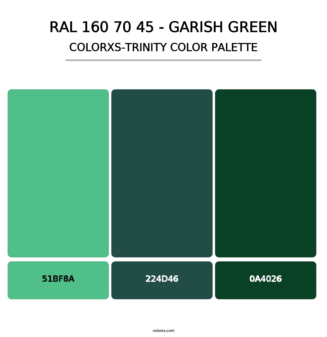 RAL 160 70 45 - Garish Green - Colorxs Trinity Palette