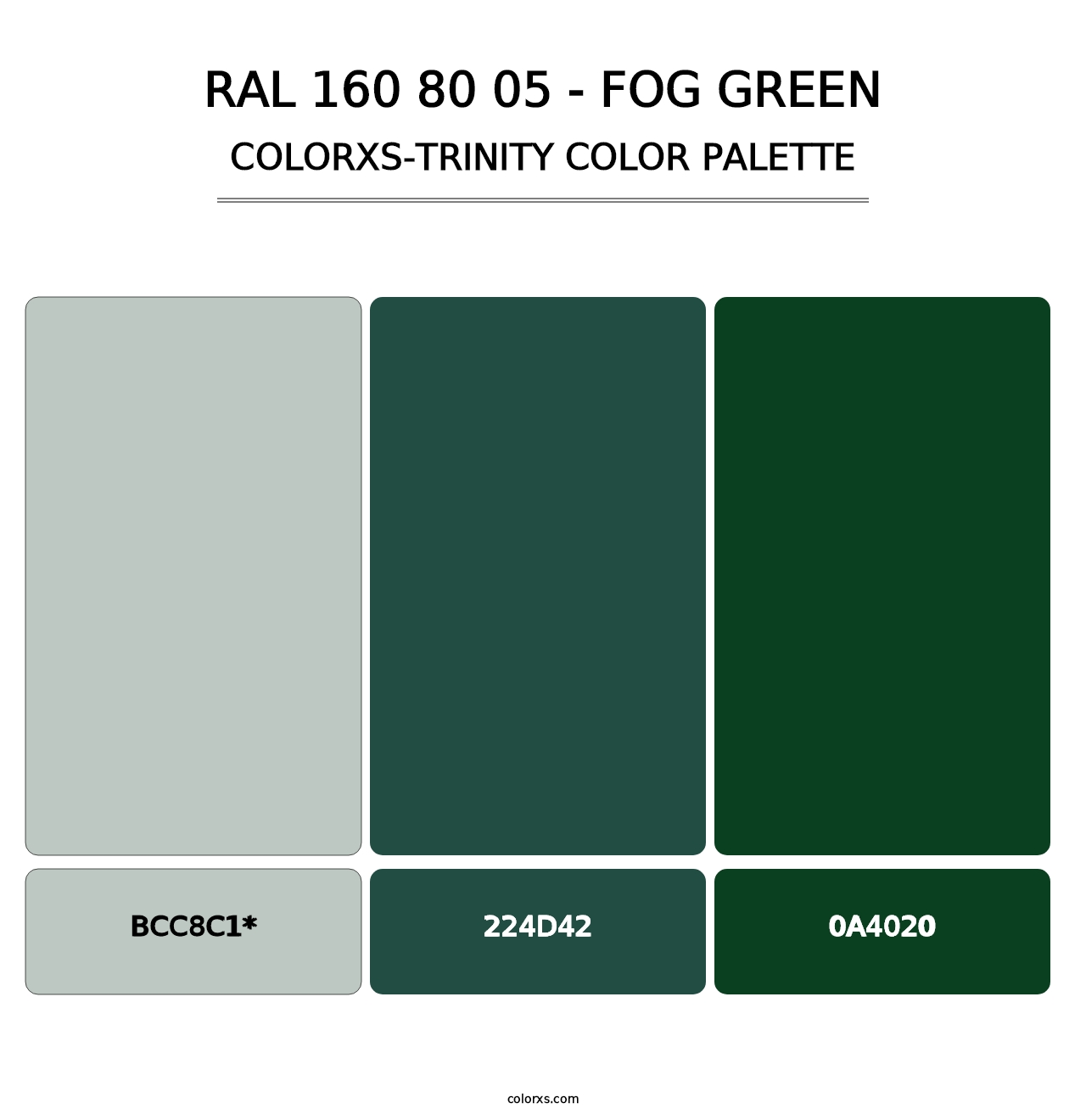 RAL 160 80 05 - Fog Green - Colorxs Trinity Palette