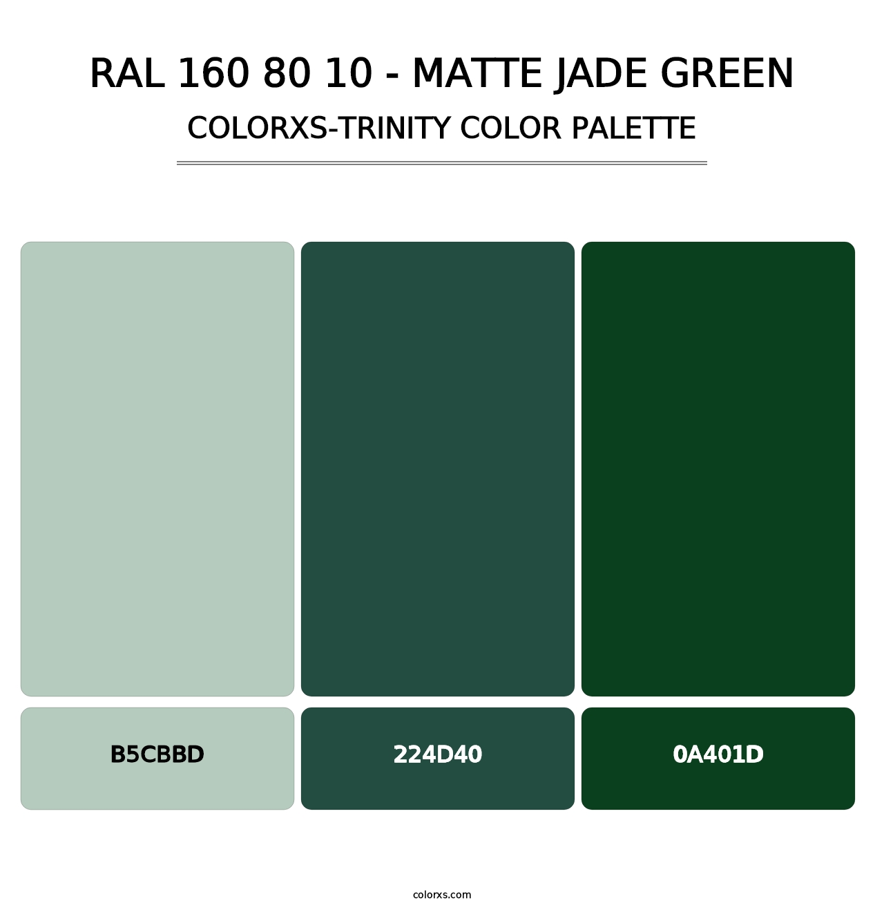 RAL 160 80 10 - Matte Jade Green - Colorxs Trinity Palette