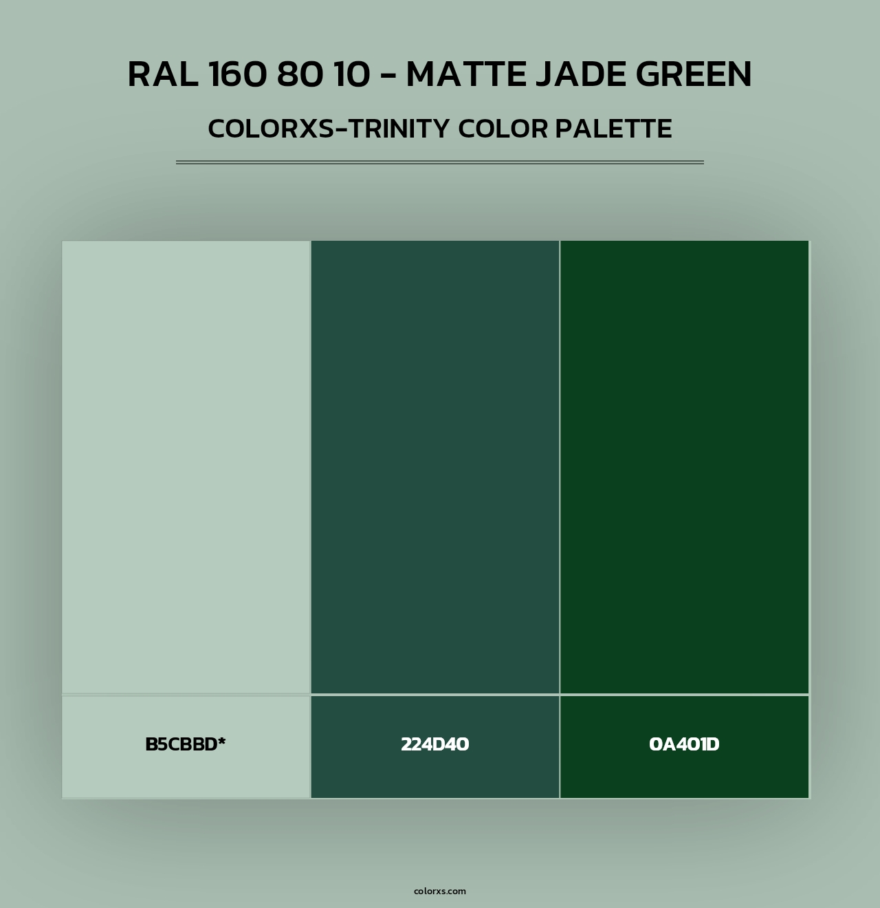 RAL 160 80 10 - Matte Jade Green - Colorxs Trinity Palette