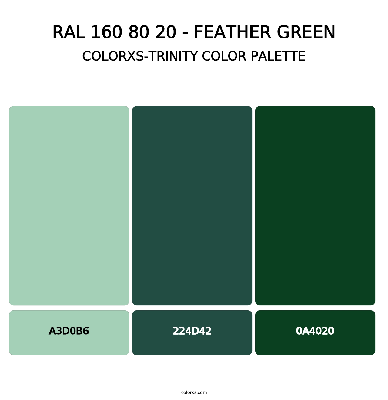 RAL 160 80 20 - Feather Green - Colorxs Trinity Palette
