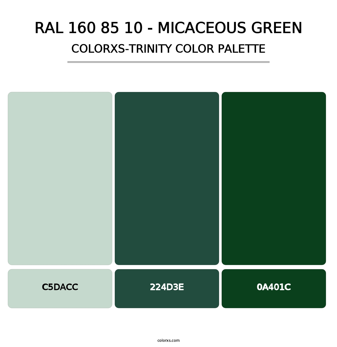 RAL 160 85 10 - Micaceous Green - Colorxs Trinity Palette