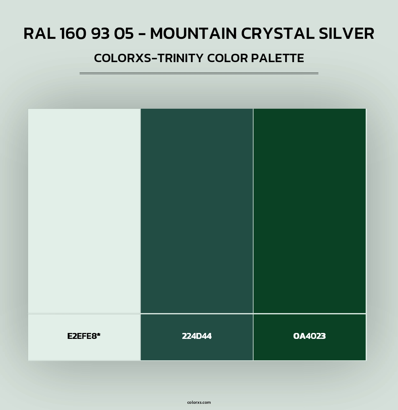RAL 160 93 05 - Mountain Crystal Silver - Colorxs Trinity Palette