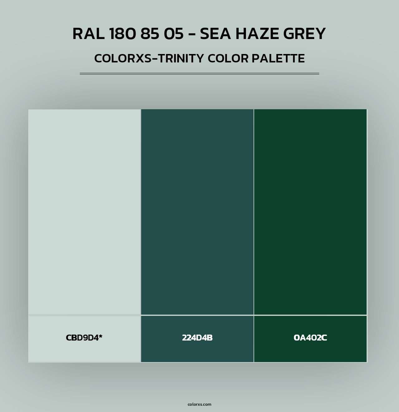 RAL 180 85 05 - Sea Haze Grey - Colorxs Trinity Palette