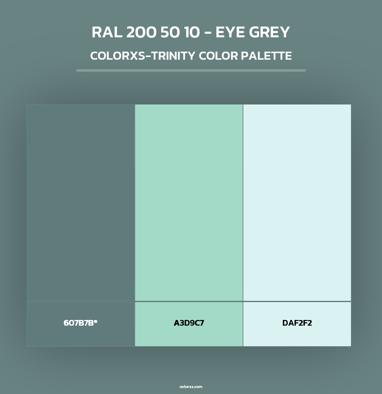 RAL 200 50 10 - Eye Grey - Colorxs Trinity Palette
