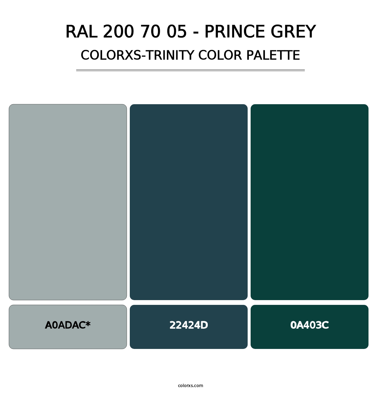RAL 200 70 05 - Prince Grey - Colorxs Trinity Palette