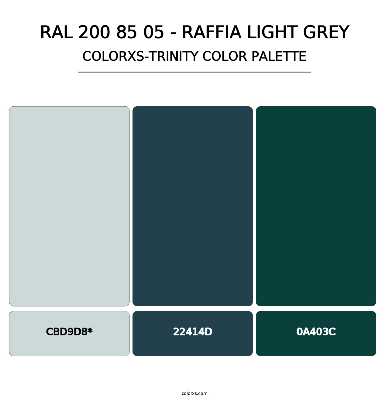 RAL 200 85 05 - Raffia Light Grey - Colorxs Trinity Palette