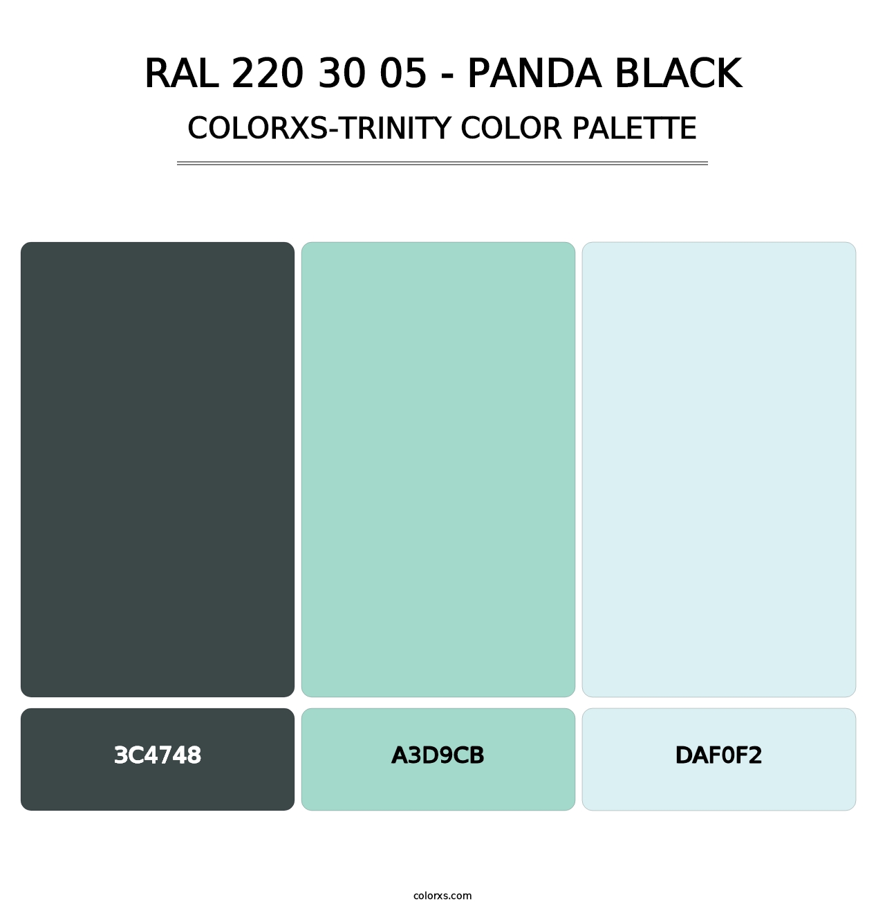 RAL 220 30 05 - Panda Black - Colorxs Trinity Palette