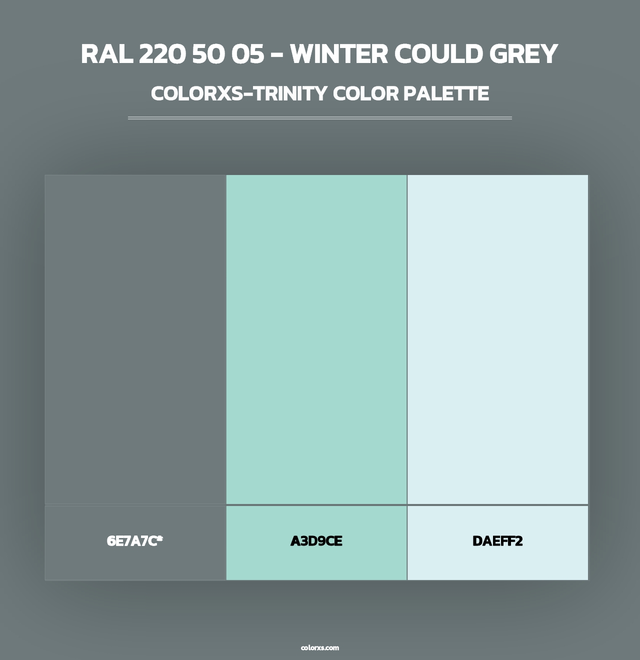 RAL 220 50 05 - Winter Could Grey - Colorxs Trinity Palette