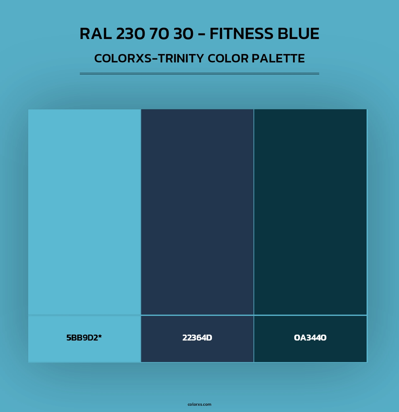 RAL 230 70 30 - Fitness Blue - Colorxs Trinity Palette