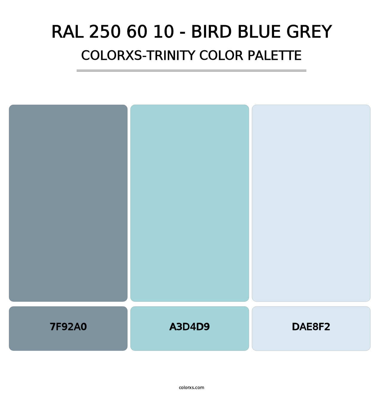 RAL 250 60 10 - Bird Blue Grey - Colorxs Trinity Palette
