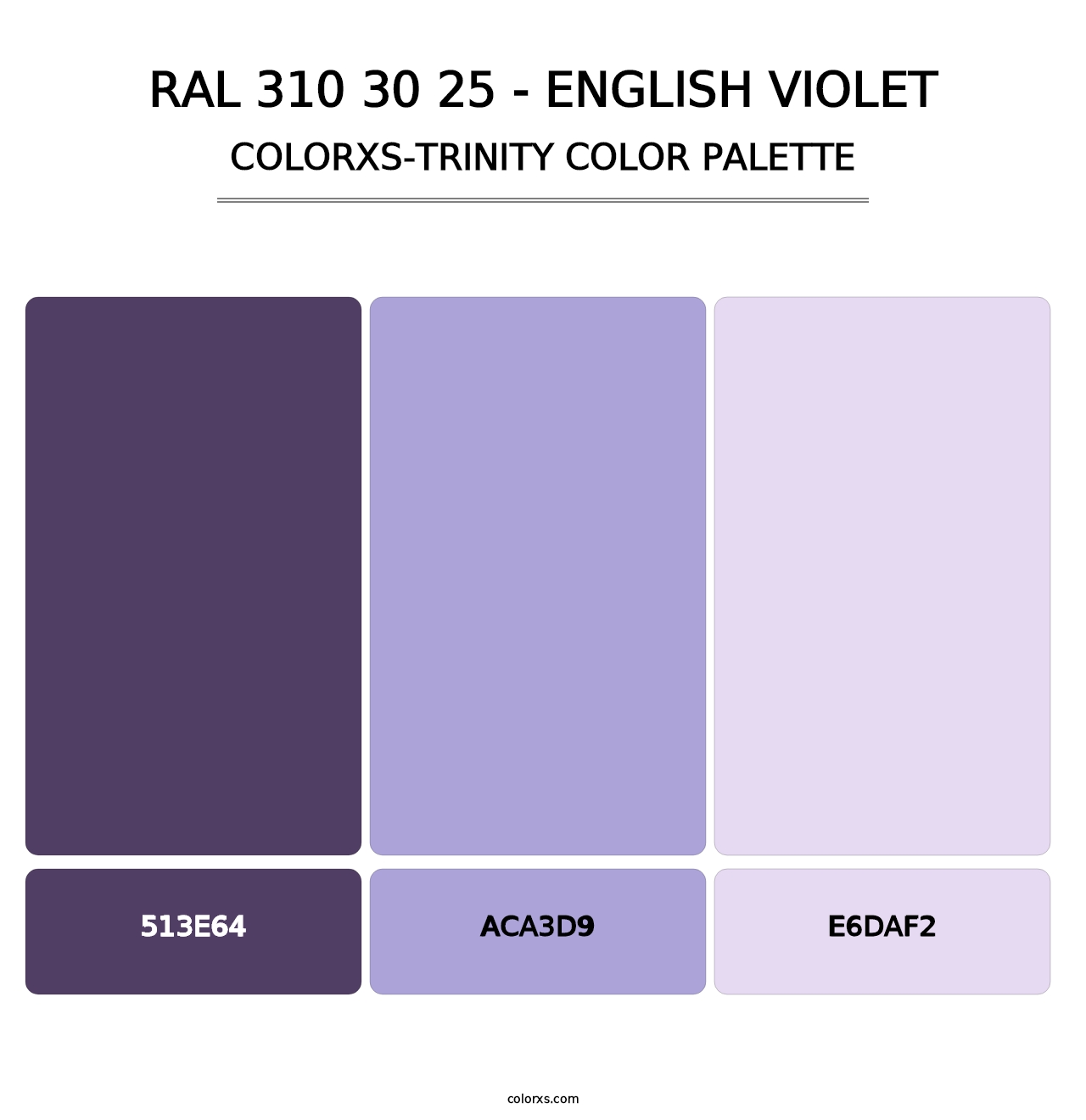 RAL 310 30 25 - English Violet - Colorxs Trinity Palette