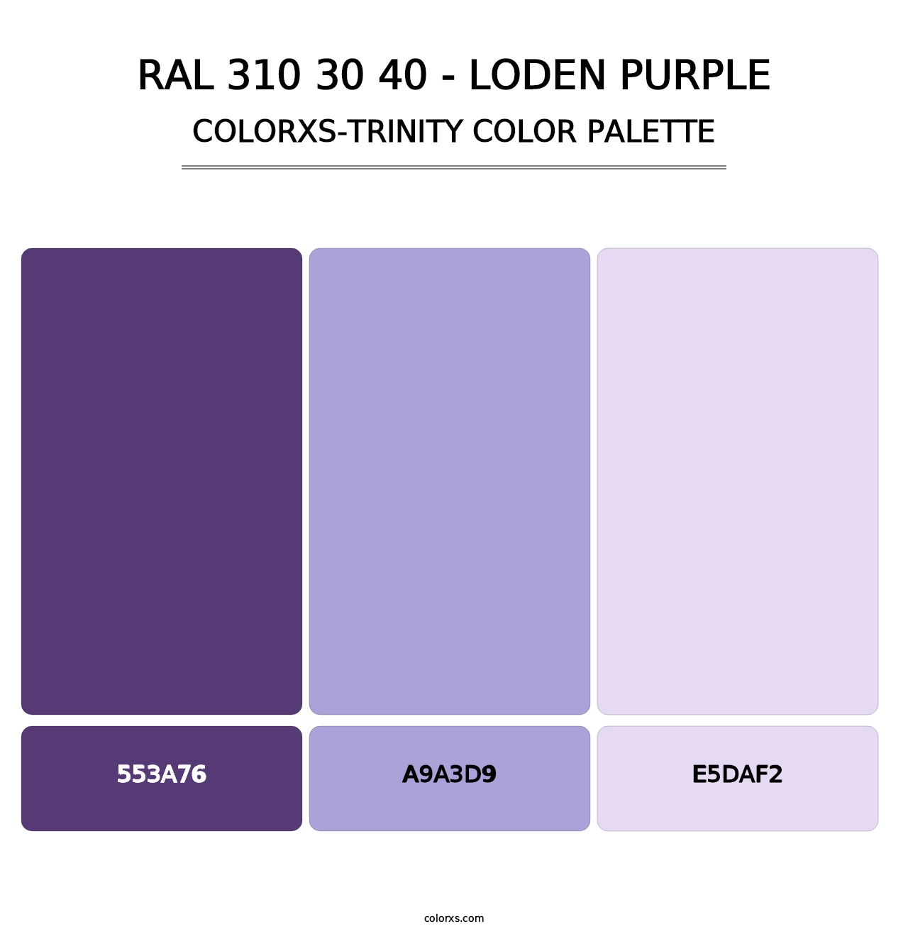 RAL 310 30 40 - Loden Purple - Colorxs Trinity Palette