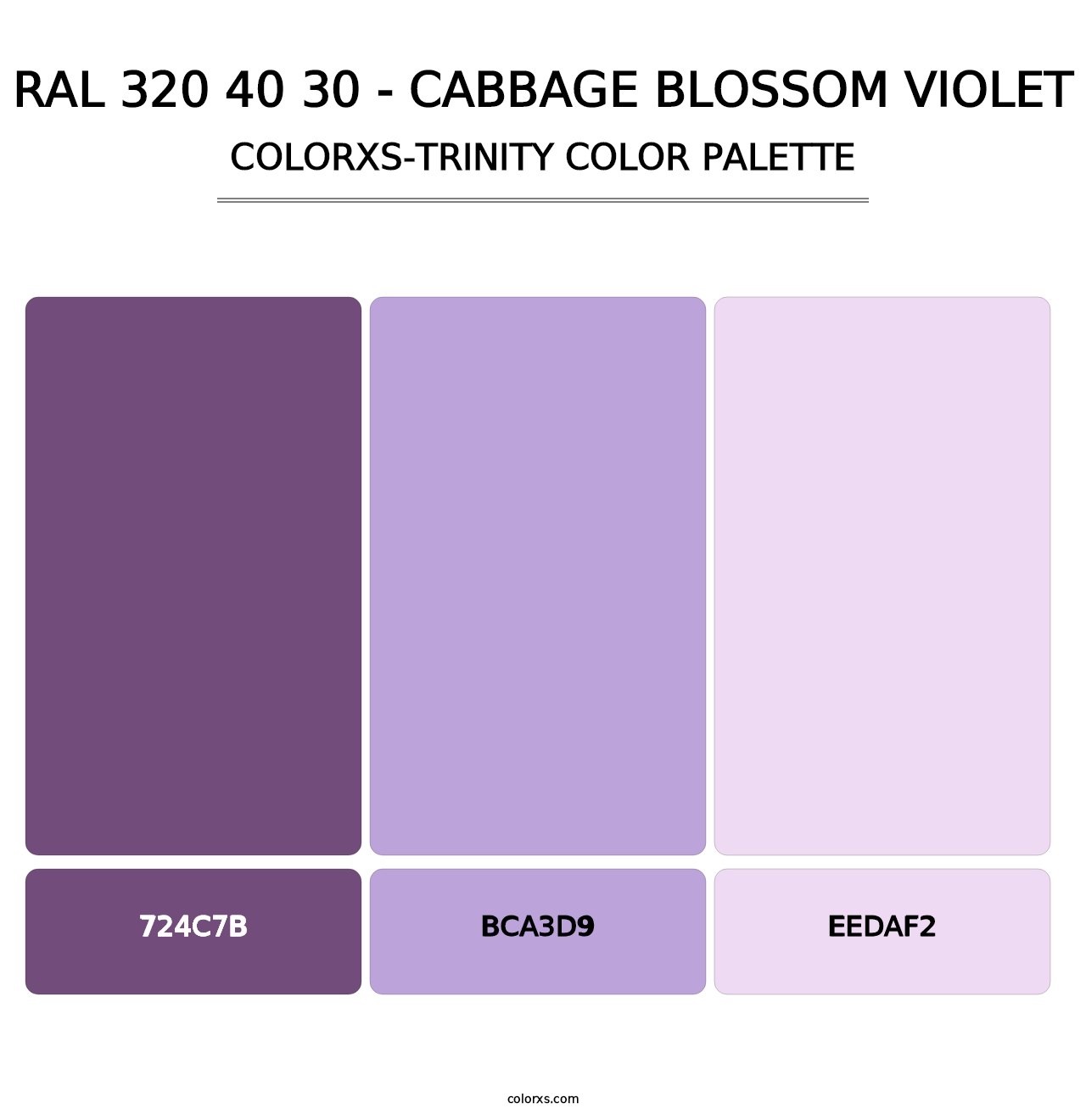 RAL 320 40 30 - Cabbage Blossom Violet - Colorxs Trinity Palette
