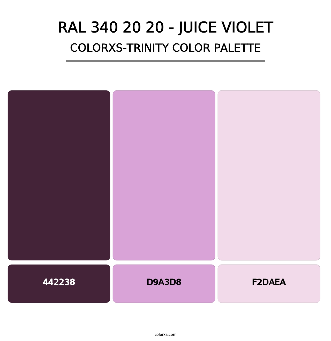 RAL 340 20 20 - Juice Violet - Colorxs Trinity Palette