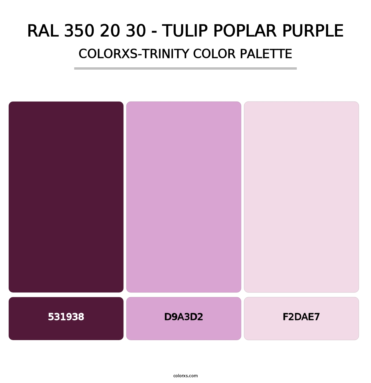 RAL 350 20 30 - Tulip Poplar Purple - Colorxs Trinity Palette