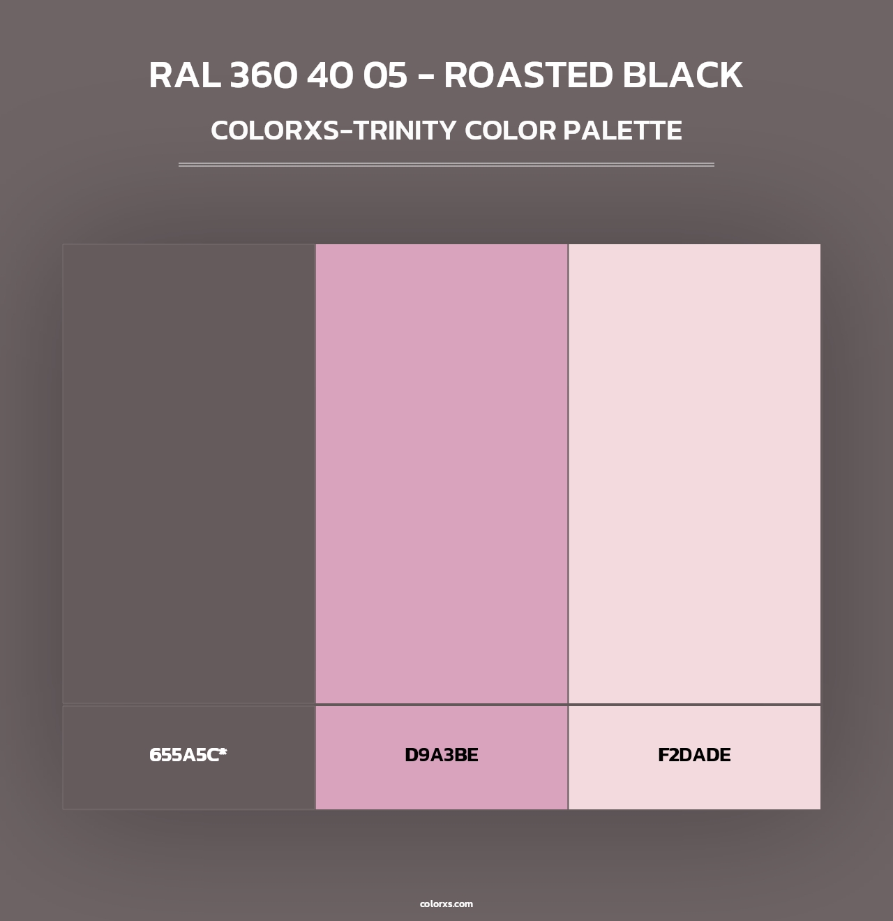 RAL 360 40 05 - Roasted Black - Colorxs Trinity Palette