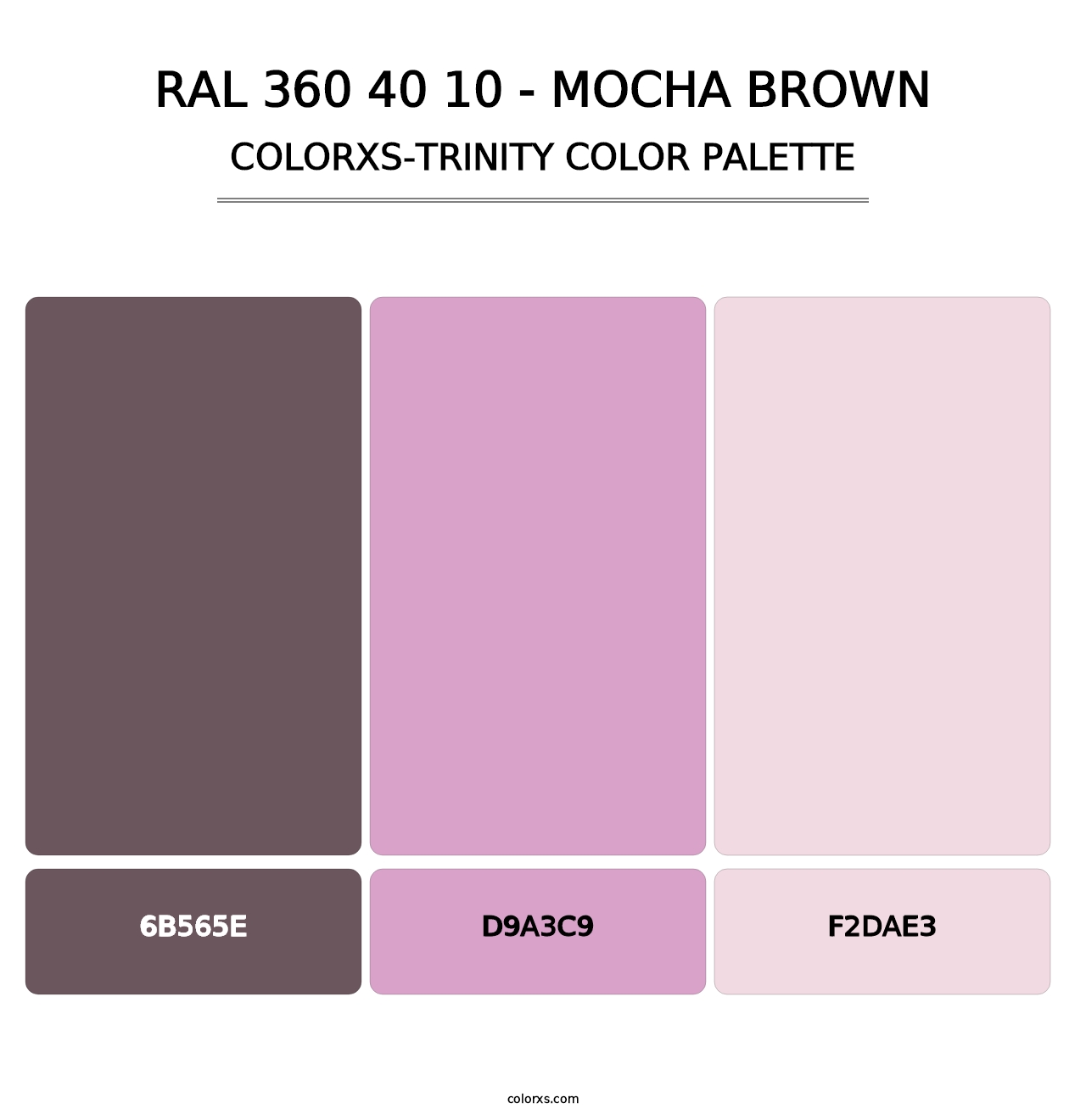 RAL 360 40 10 - Mocha Brown - Colorxs Trinity Palette