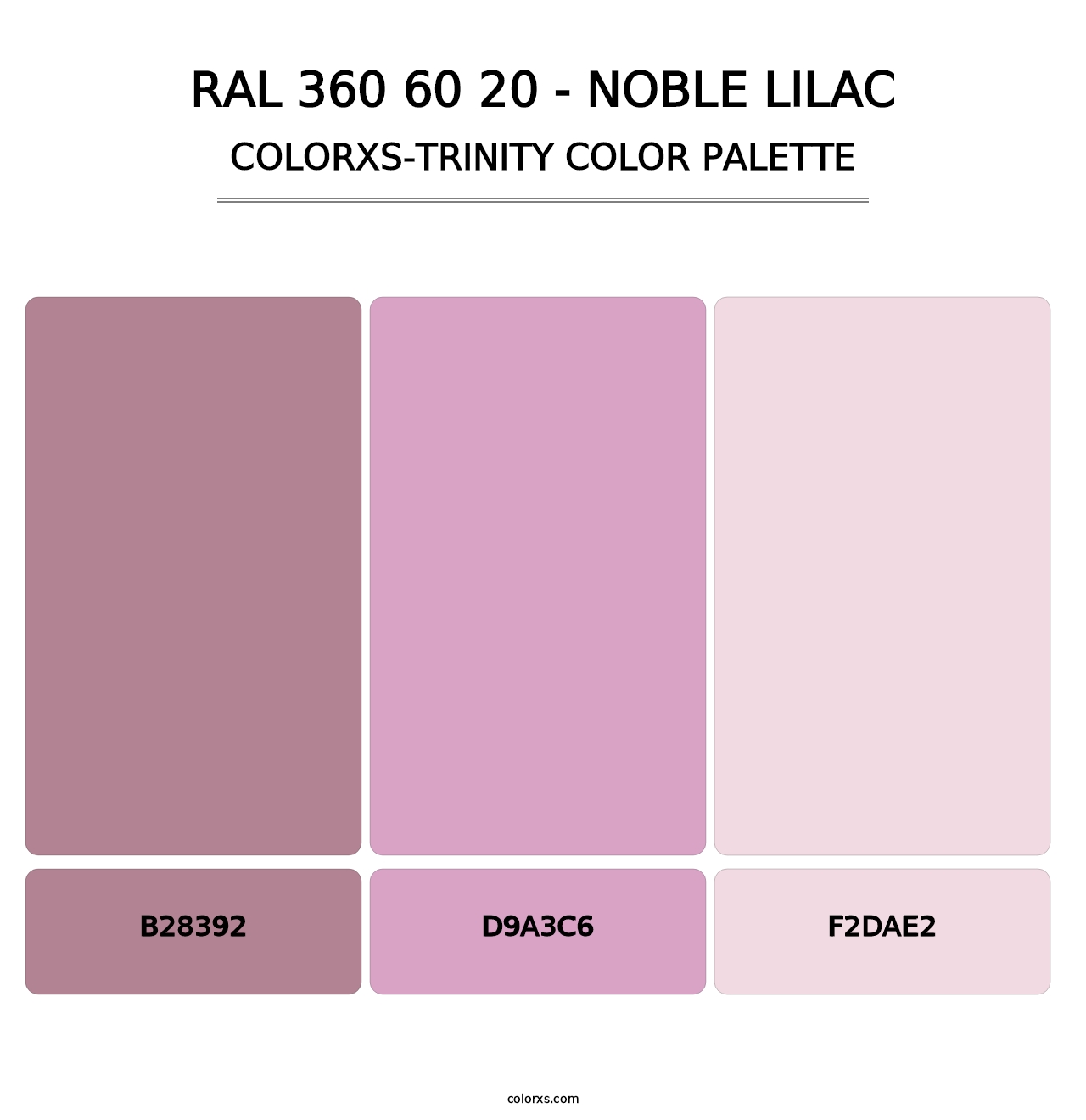 RAL 360 60 20 - Noble Lilac - Colorxs Trinity Palette