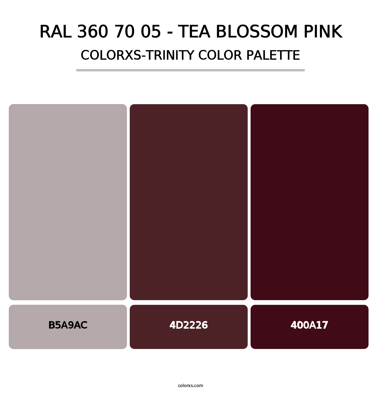 RAL 360 70 05 - Tea Blossom Pink - Colorxs Trinity Palette