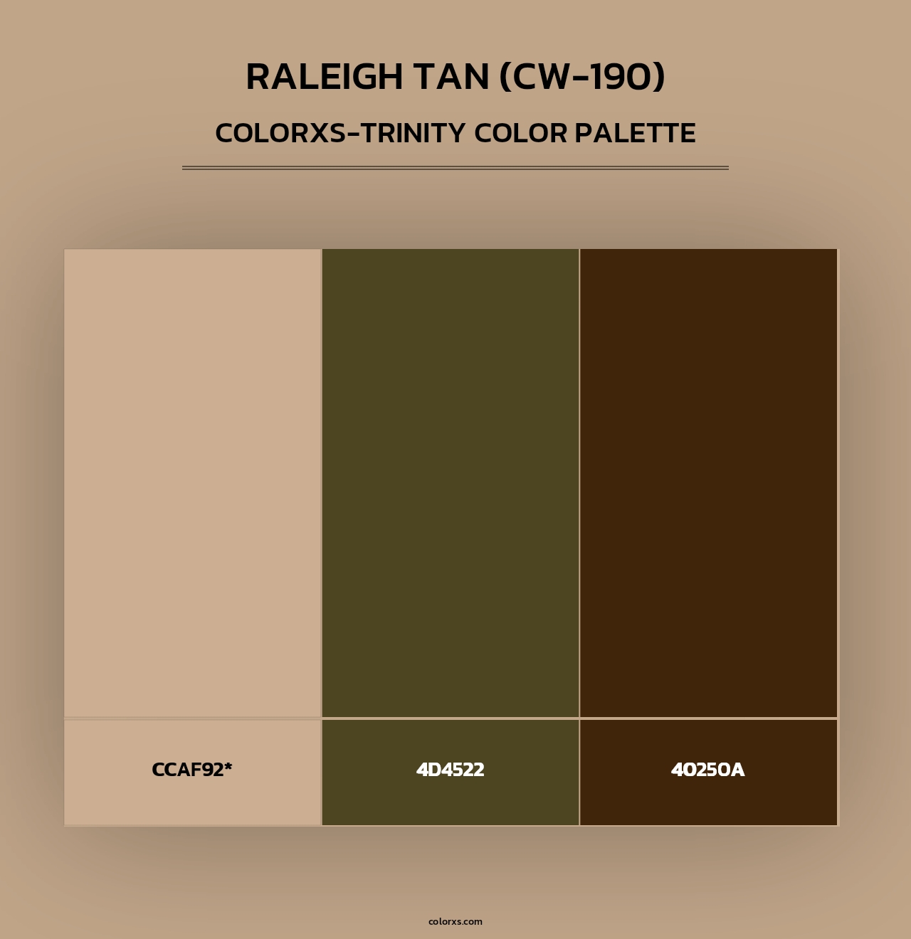 Raleigh Tan (CW-190) - Colorxs Trinity Palette