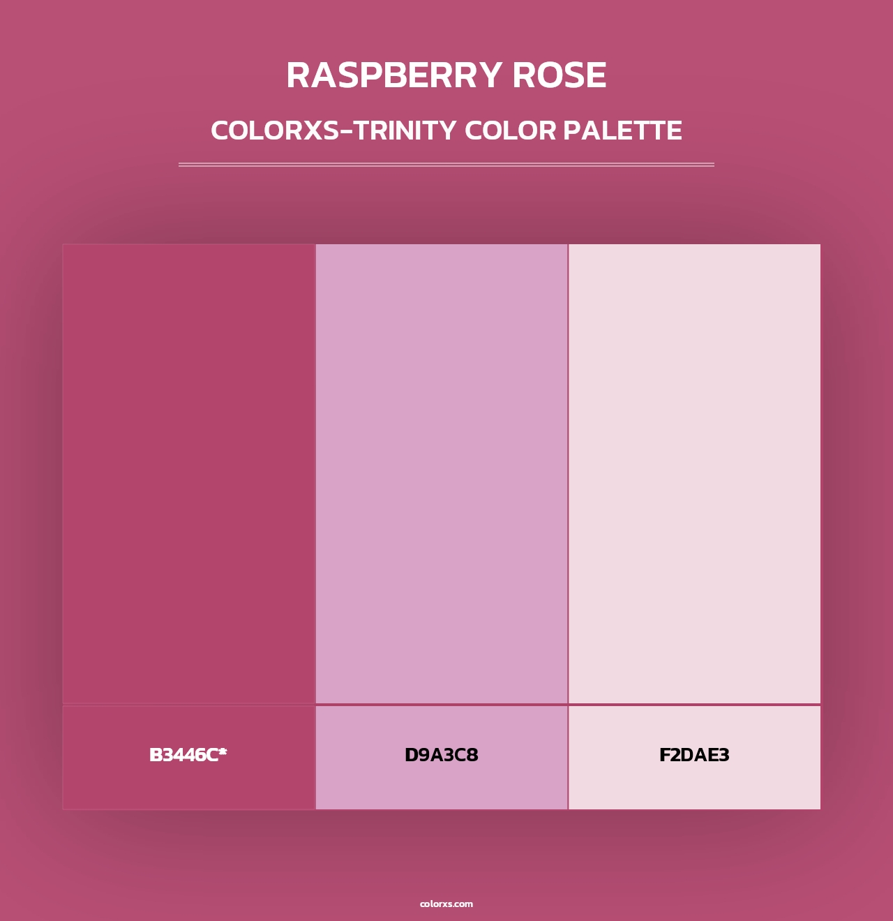 Raspberry Rose - Colorxs Trinity Palette