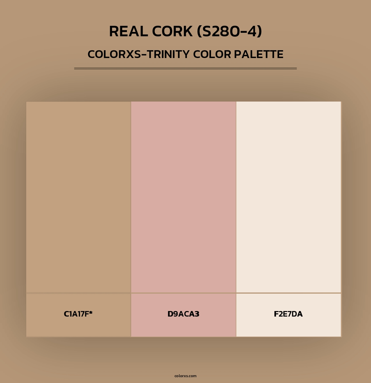 Real Cork (S280-4) - Colorxs Trinity Palette