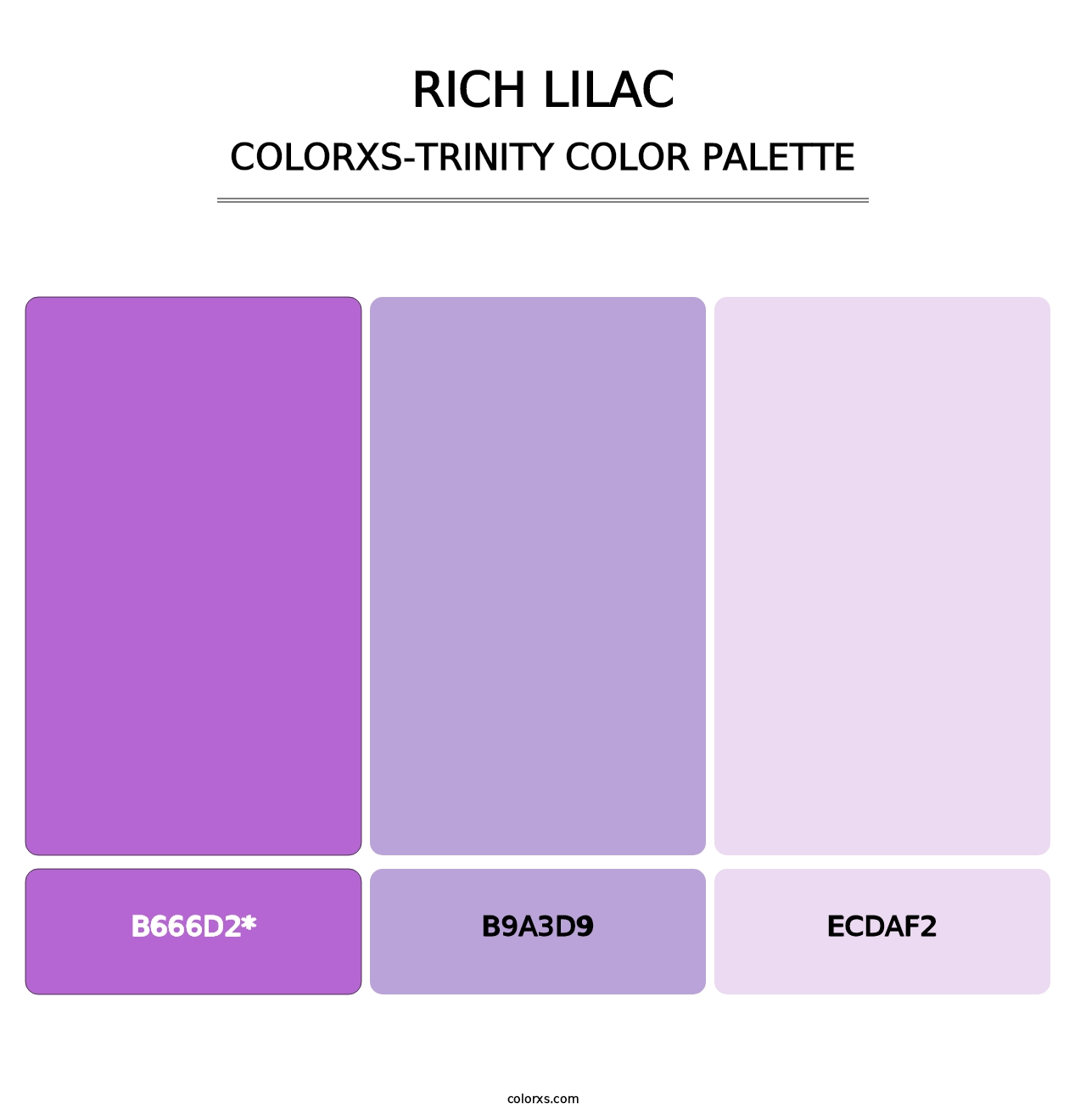 Rich Lilac - Colorxs Trinity Palette