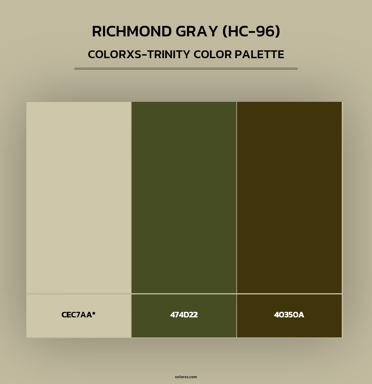 Richmond Gray (HC-96) - Colorxs Trinity Palette
