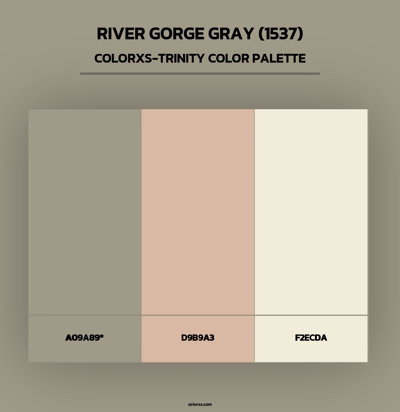 River Gorge Gray (1537) - Colorxs Trinity Palette