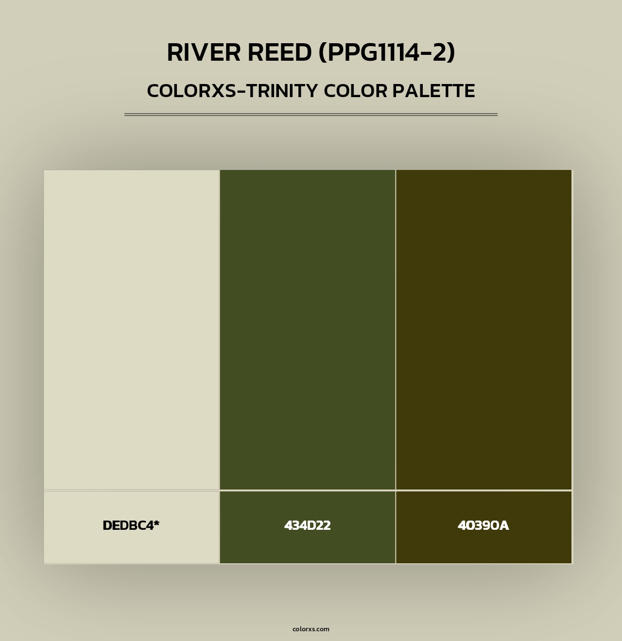 River Reed (PPG1114-2) - Colorxs Trinity Palette
