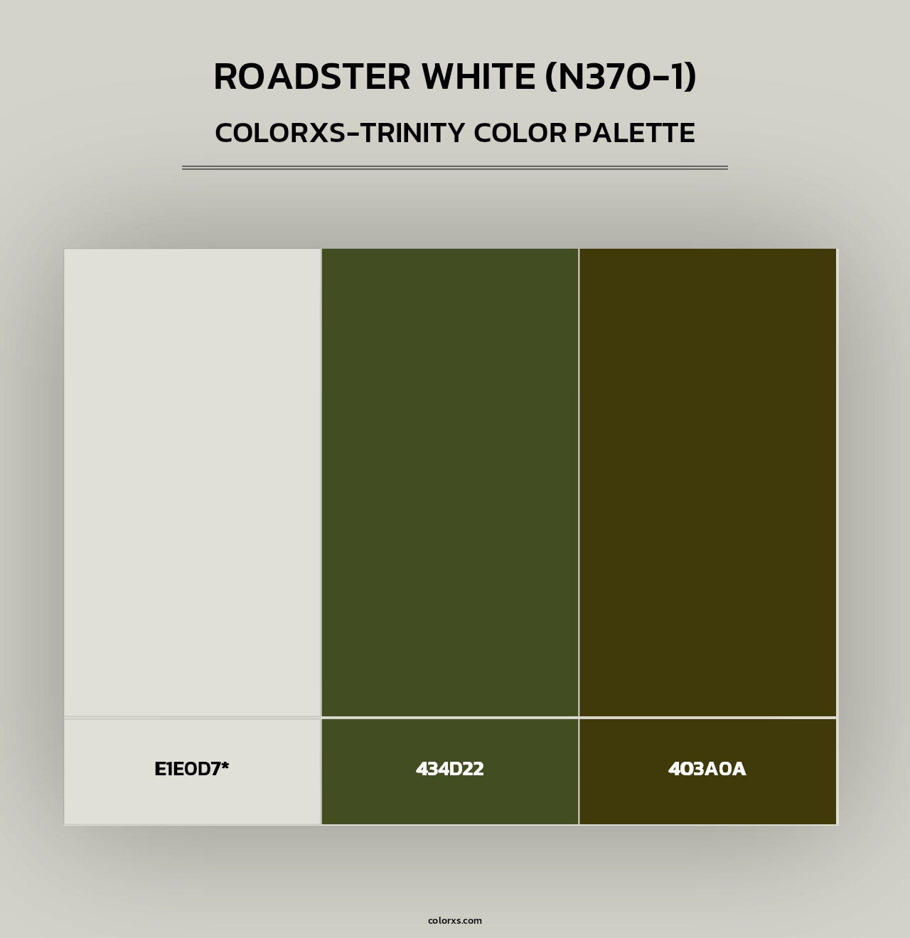 Roadster White (N370-1) - Colorxs Trinity Palette