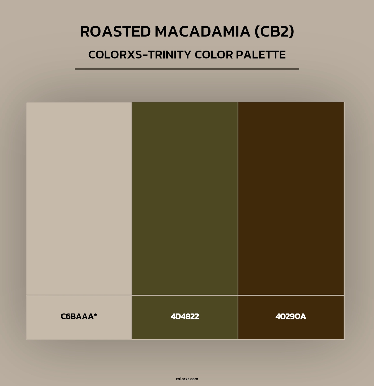 Roasted Macadamia (CB2) - Colorxs Trinity Palette
