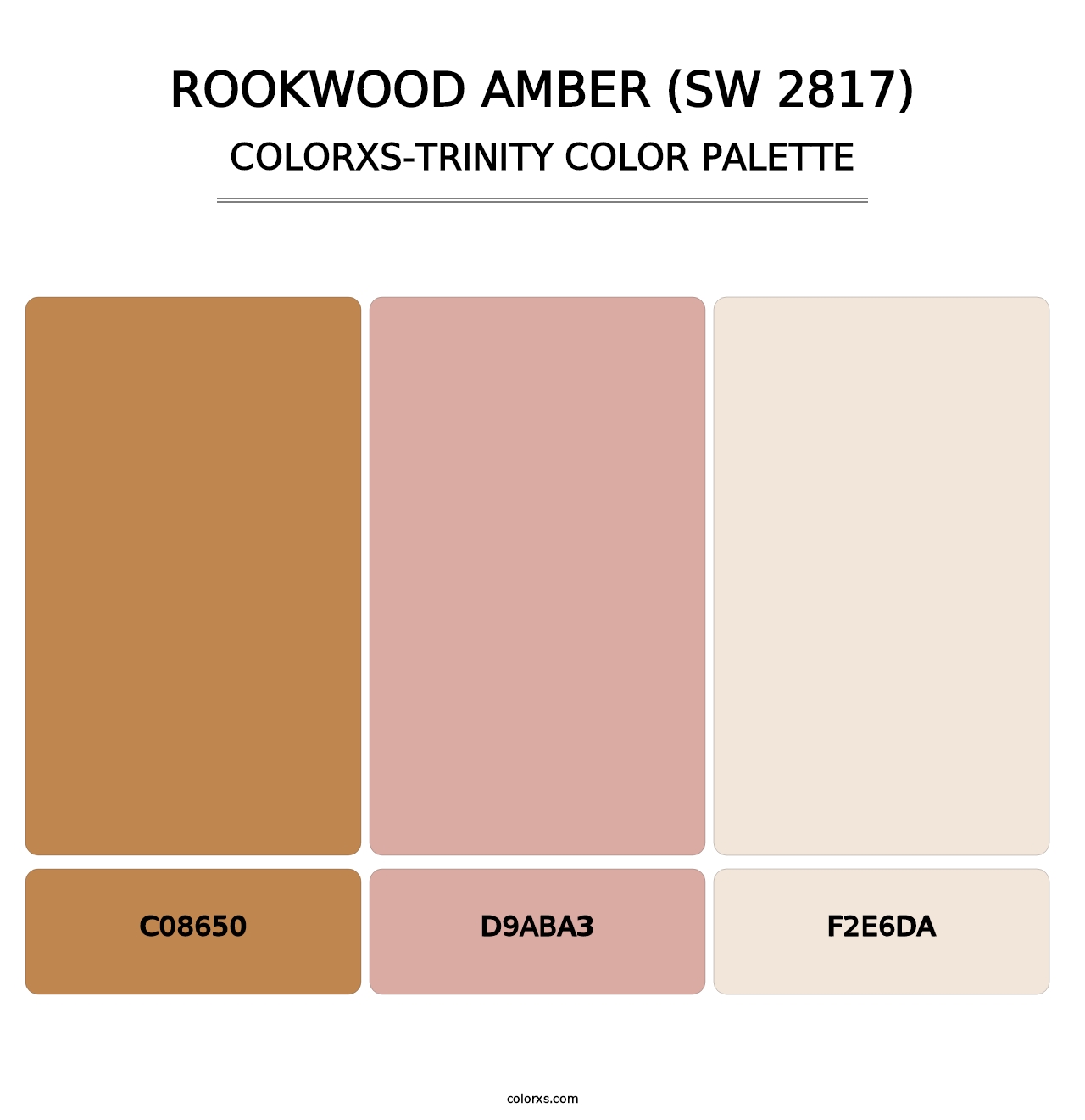 Rookwood Amber (SW 2817) - Colorxs Trinity Palette