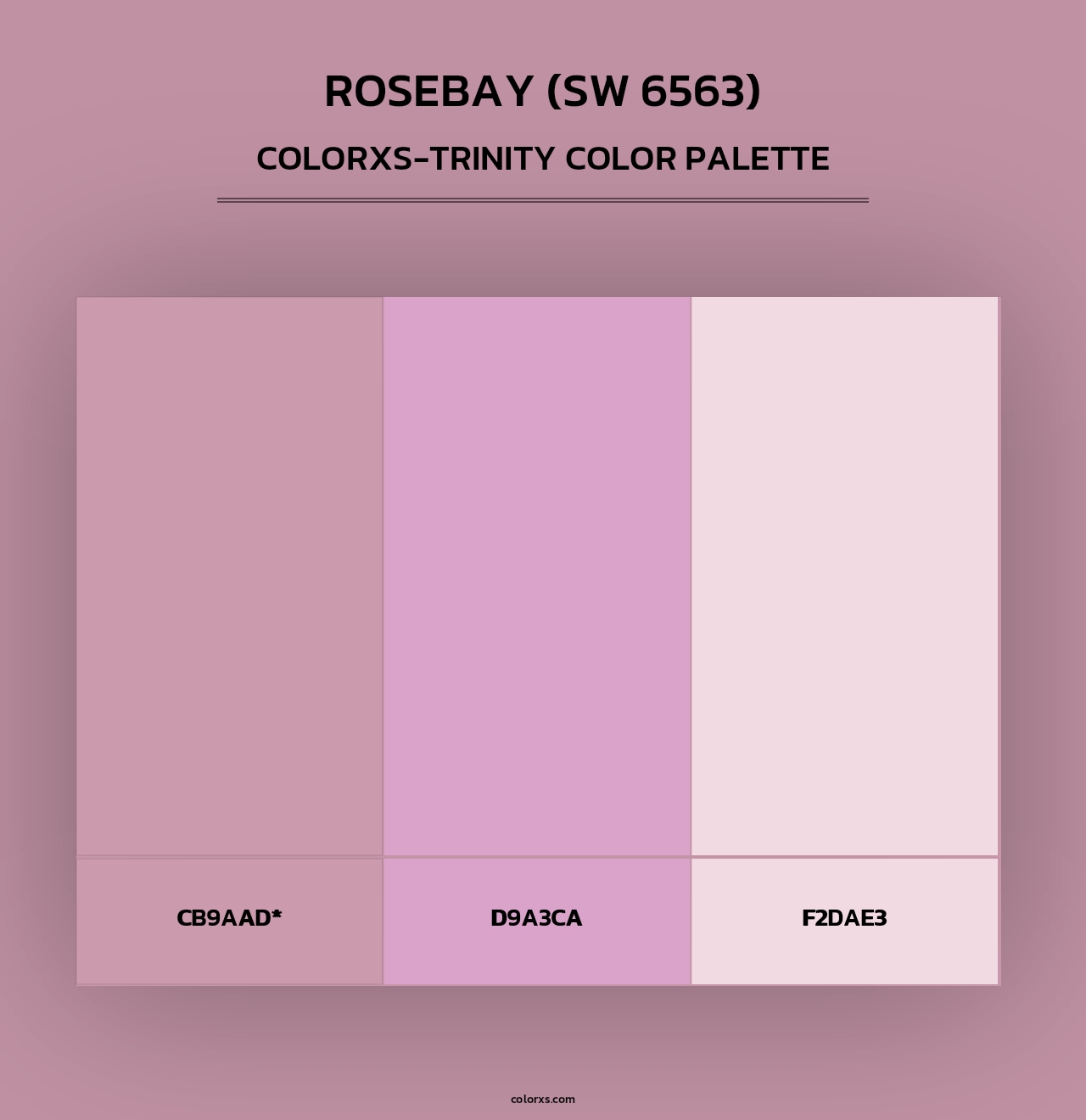 Rosebay (SW 6563) - Colorxs Trinity Palette