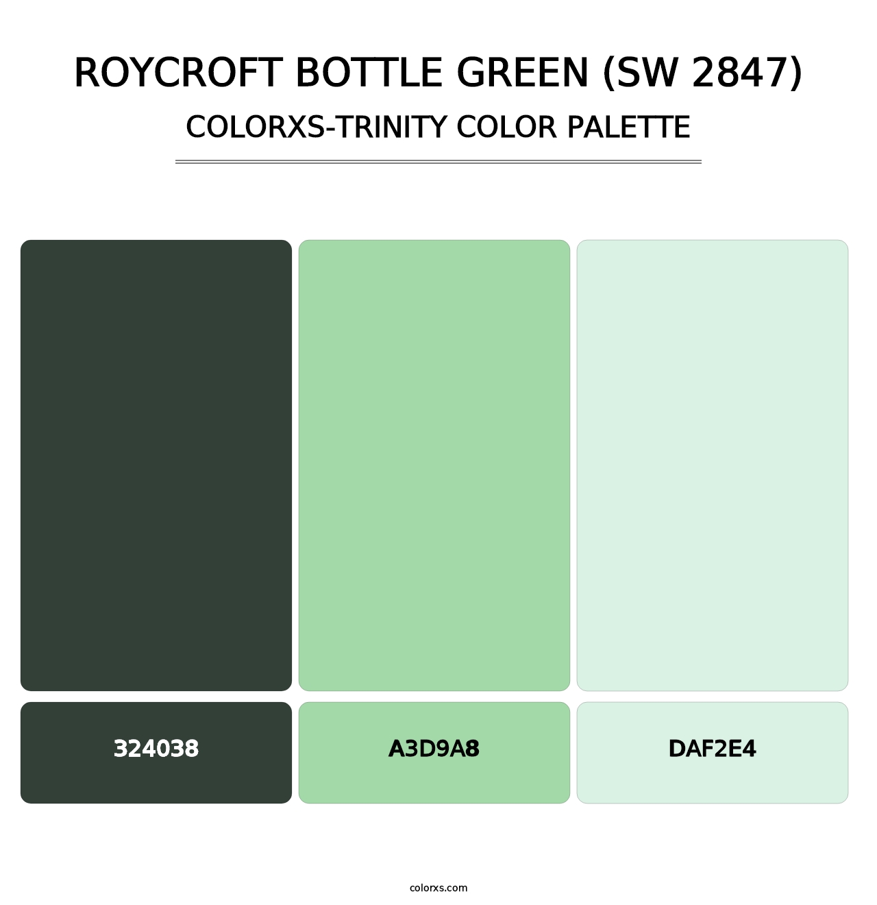 Roycroft Bottle Green (SW 2847) - Colorxs Trinity Palette