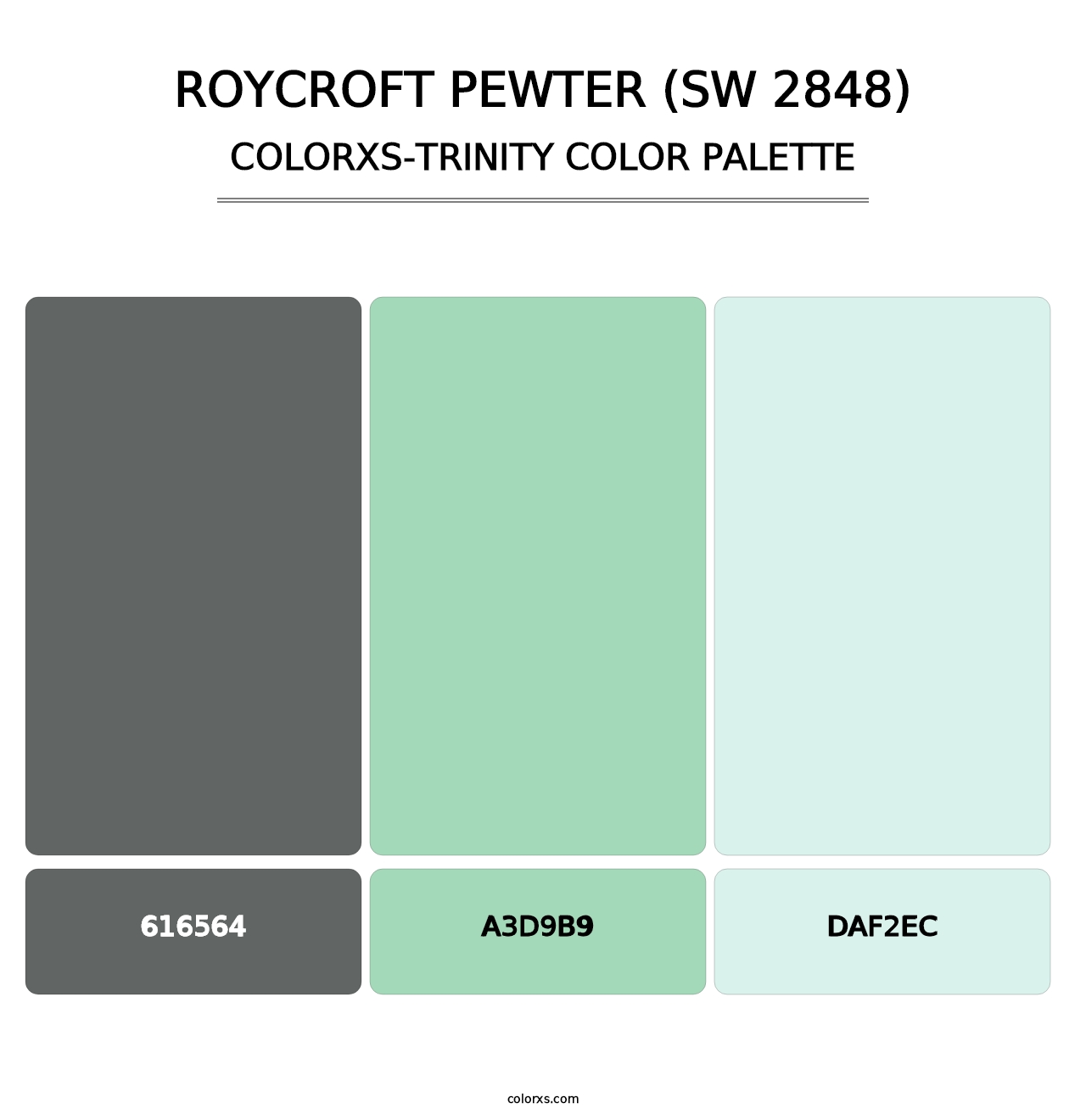 Roycroft Pewter (SW 2848) - Colorxs Trinity Palette
