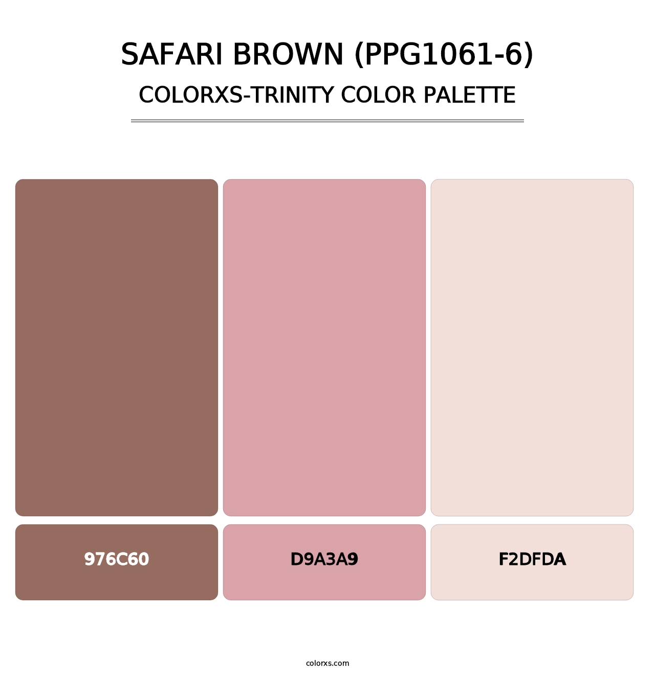 Safari Brown (PPG1061-6) - Colorxs Trinity Palette