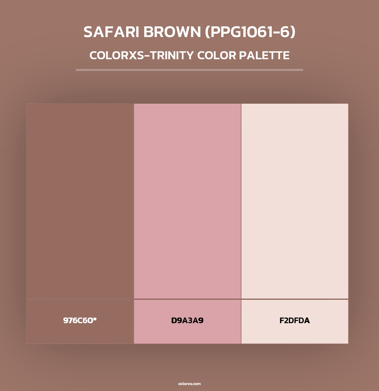 Safari Brown (PPG1061-6) - Colorxs Trinity Palette